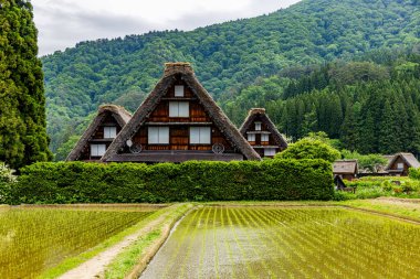 Shirakawa-go Manzarası, Gifu Bölgesi