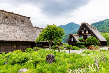 Shirakawa-go Manzarası, Gifu Bölgesi