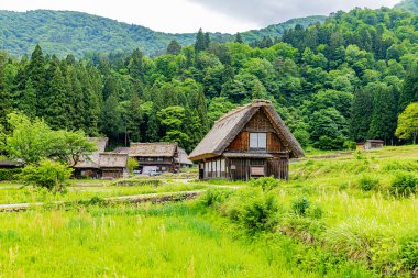 Shirakawa-go Manzarası, Gifu Bölgesi
