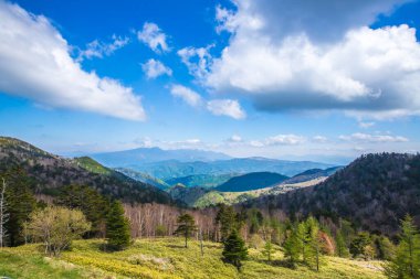 Scenery of Utsukushigahara Plateau, Nagano Prefecture