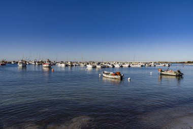 Tekneleriyle deniz kenarında küçük bir marina.