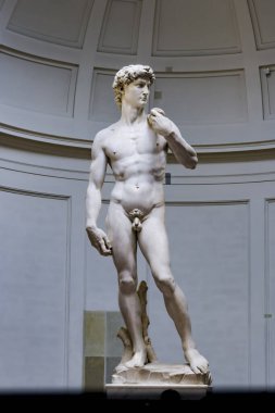 Michelangelo Buonarotti 'nin Davut' u Floransa 'daki Accademia Galerisinde