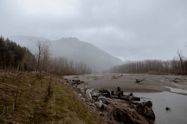Washington 'da bulutlu bir gün