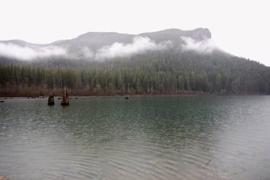 Washington 'da bulutlu bir gün