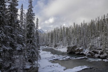 B.C. 'deki Doğal Köprü.