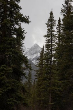 Views near Canmore, Alberta, Canada