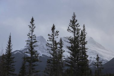 Views near Canmore, Alberta, Canada