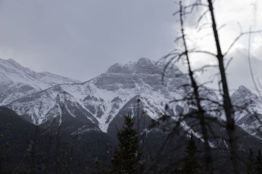 Views near Canmore, Alberta, Canada
