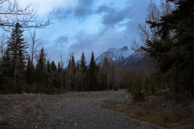 Views near Canmore, Alberta, Canada