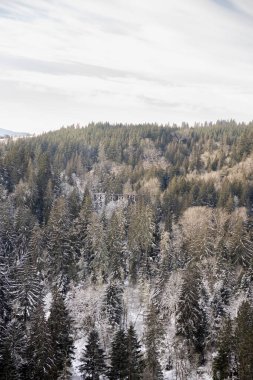 Washington 'daki Snoqualmie Falls manzarası