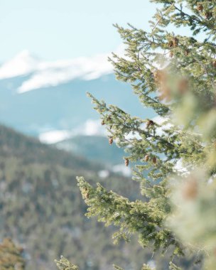 Colorado dağlarının karlı manzarası