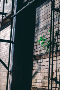 Eski bir kırsal enerji santralinin keşfi