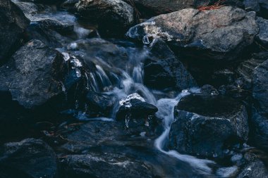 North Carolina Rocky Creek