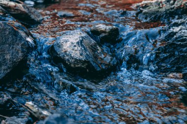 North Carolina Rocky Creek