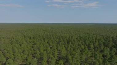 Kuzey Carolina 'nın güneydoğusunda parçalı bulutlu bir günde baharda çekilmiş görüntüler.