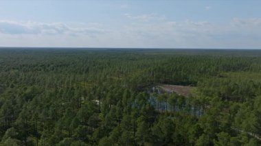 Kuzey Carolina 'nın güneydoğusunda parçalı bulutlu bir günde baharda çekilmiş görüntüler.