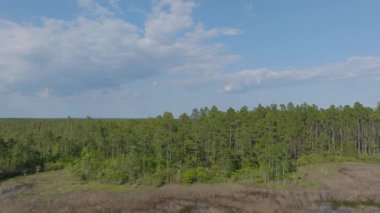 Kuzey Carolina 'nın güneydoğusunda parçalı bulutlu bir günde baharda çekilmiş görüntüler.