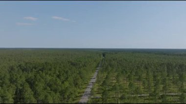 Kuzey Carolina 'nın güneydoğusunda parçalı bulutlu bir günde baharda çekilmiş görüntüler.