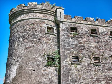 Eski Kelt kale kulesi ve bir ev. Eski İrlanda mimari geçmişi