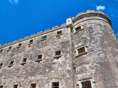 Eski Kelt kale kulesi ve bir ev. Eski İrlanda mimari geçmişi