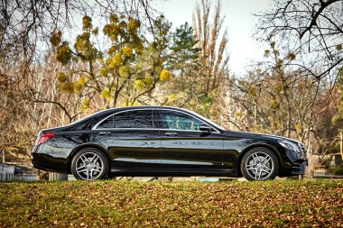 Modern car driving through the woods background,  luxury city car wallpaper