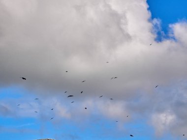 Derin mavi gökyüzünde beyaz kabarık bulutlar. Cennet arkaplanı