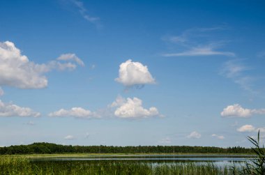 Yaz gökyüzünde beyaz bulutlar, doğal arka plan