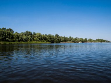 Ukrayna'da Desna Nehri. güzel yaz manzara
