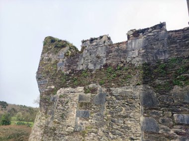 Kale duvarı, İrlanda 'daki Blarney kalesi, eski Kelt kalesi.