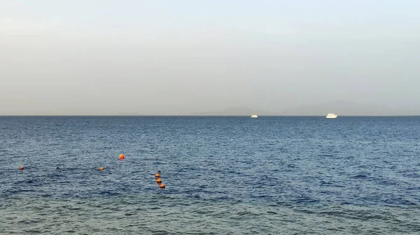 Yaz aylarında Kızıldeniz, Mısır duvar kağıdı arka plan, deniz deniz manzarası