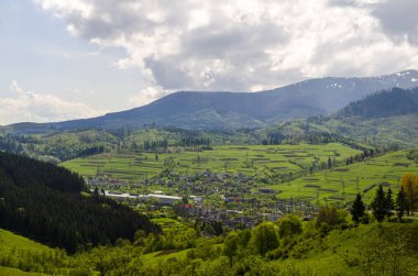 Dağ Vadisi orman ve çayır, Karpat Dağları, Ukrayna