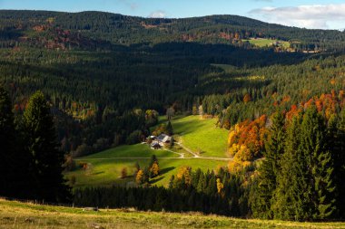 Sonbaharda Kara Orman, Feldberg, Baden-Wuerttemberg, Almanya