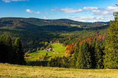 Sonbaharda Kara Orman, Feldberg, Baden-Wuerttemberg, Almanya