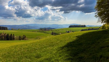 Baden-Wuerttemberg, Almanya 'da Kara Orman' da İlkbahar