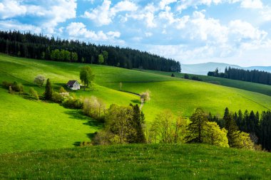 Baden-Wuerttemberg, Almanya 'daki Kara Orman' da St. Maergen yakınlarında ilkbahar