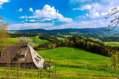 Baden-Wuerttemberg, Almanya 'da, Kara Orman' da Aziz Peter yakınlarında ilkbahar