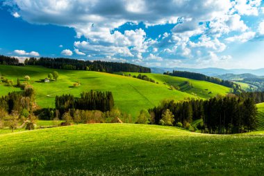 Baden-Wuerttemberg, Almanya 'daki Kara Orman' da St. Maergen yakınlarında ilkbahar
