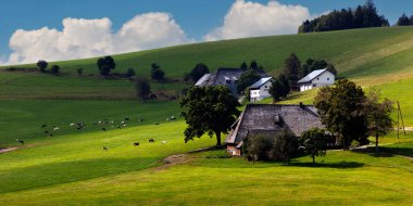 Akşam ışığında çiftlik, Kara Orman 'da Breitnau, Baden-Wuerttemberg, Almanya,