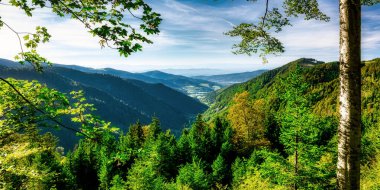 Rinken 'den Zastler Vadisi' ne Feldberg, Kara Orman, Baden-Wuerttemberg, Almanya