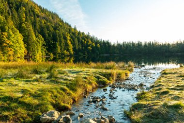 Feldsee 'ye, Schwarzwald' daki Feldberg yakınlarına akın