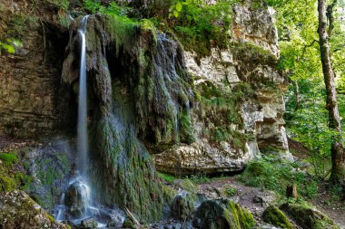 Tannegger Şelalesi ve Wutach Vadisi Doğa Koruma Alanı, Kara Orman, Baden-Wuerttemberg, Almanya