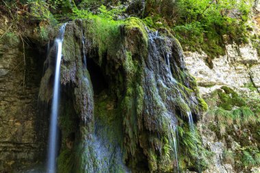 Tannegger Şelalesi ve Wutach Vadisi Doğa Koruma Alanı, Kara Orman, Baden-Wuerttemberg, Almanya