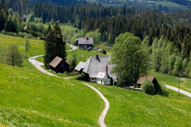 Hinterzarten, Almanya yakınlarındaki eski Kara Orman Çiftliği