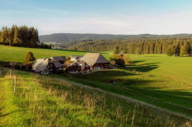 Guetenbach, Kara Orman, Baden-Wuerttemberg, Almanya yakınlarındaki akşam ışığında
