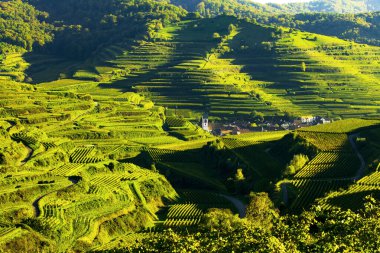 Bağlardaki kilise, Oberbergen, Kaiserstuhl, Baden-Wuerttemberg, Almanya