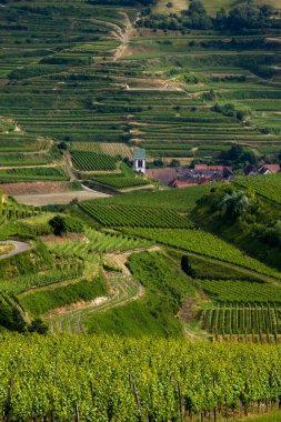 Bağlardaki kilise, Obergen, Vogtsburg, Kaiserstuhl, Kara Orman, Baden-Wuerttemberg, Almanya