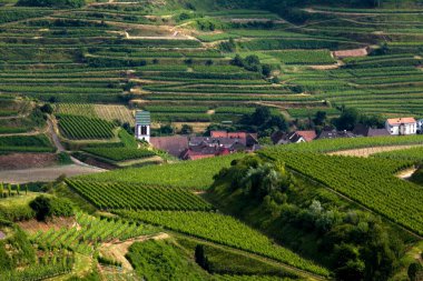 Bağlardaki kilise, Obergen, Vogtsburg, Kaiserstuhl, Kara Orman, Baden-Wuerttemberg, Almanya
