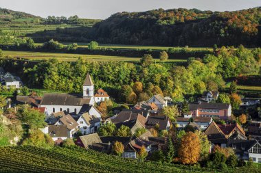Sonbaharda Achkarren 'in şarap köyü, Kaiserstuhl, Baden-Wuerttemberg