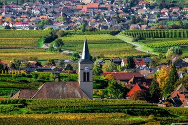 Sonbaharda Oberrotweil 'in şarap köyü, Kaiserstuhl, Baden-Wuerttemberg