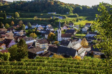 Sonbaharda Bickensohl şarap köyü, Kaiserstuhl, Baden-Wrttemberg
